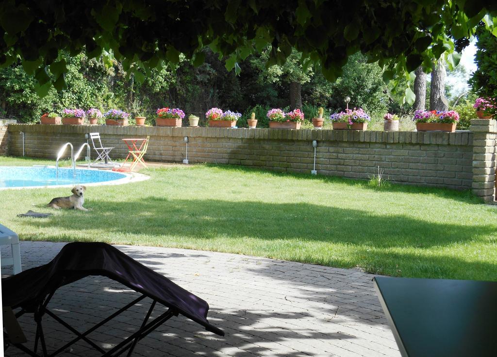 Casale Del Tiglio Bed & Breakfast Черветери Стая снимка
