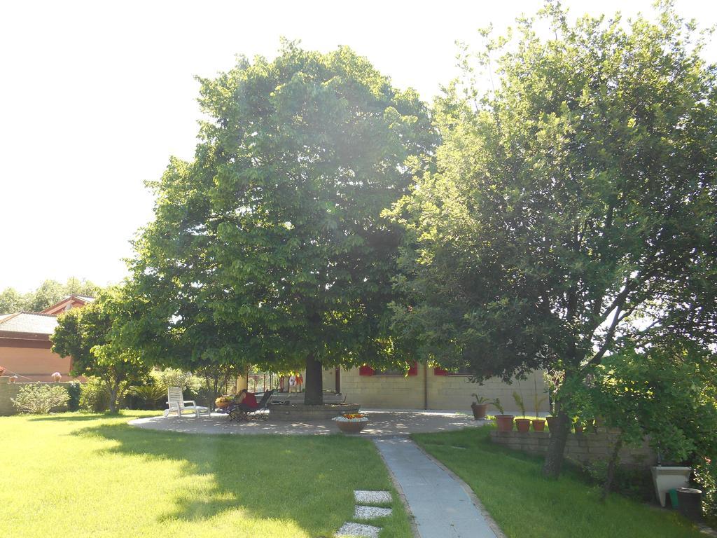 Casale Del Tiglio Bed & Breakfast Черветери Стая снимка