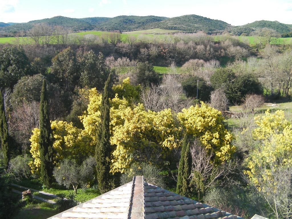 Casale Del Tiglio Bed & Breakfast Черветери Стая снимка