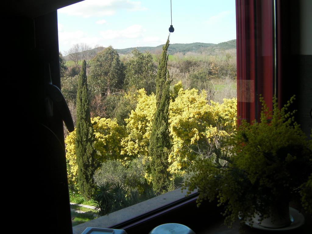 Casale Del Tiglio Bed & Breakfast Черветери Стая снимка